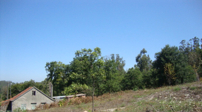 Pontevedra - Vilafranca - 3296m2