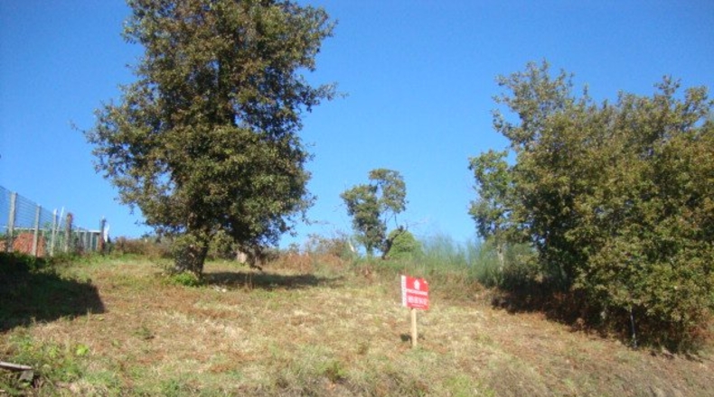 Pontevedra - Ucha - 504m2