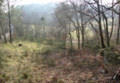 Non-developable land for sale in Cerdedo ref: TR15682 photo