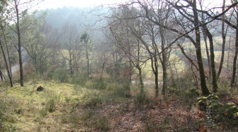 Pontevedra - Zamar - 914m2