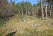 Non-developable land for sale in Cerdedo ref: TR15682 photo