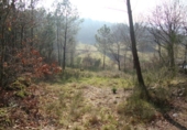 Non-developable land for sale in Cerdedo ref: TR15682 photo