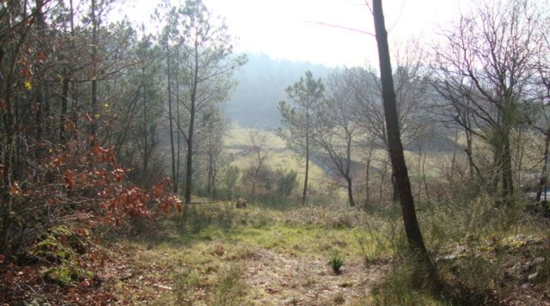 Pontevedra - Zamar - 914m2