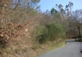 Non-developable land for sale in Cerdedo ref: TR15682 photo