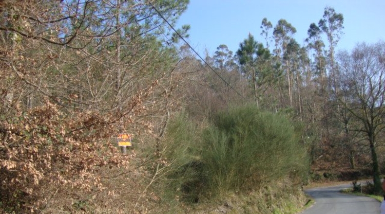 Pontevedra - Zamar - 914m2