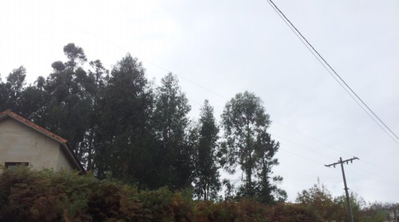 Pontevedra - O Toural - 400m2