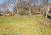 Non-developable land for sale in Pontevedra ref: TR15691 photo