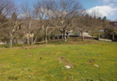 Non-developable land for sale in Pontevedra ref: TR15691 photo