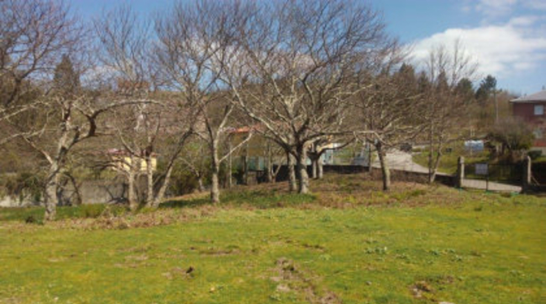Pontevedra - A Igrexa - 4000m2