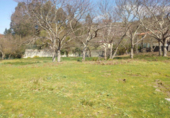 Non-developable land for sale in Pontevedra ref: TR15691 photo