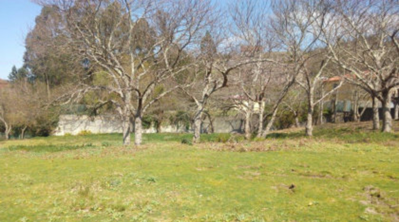 Pontevedra - A Igrexa - 4000m2
