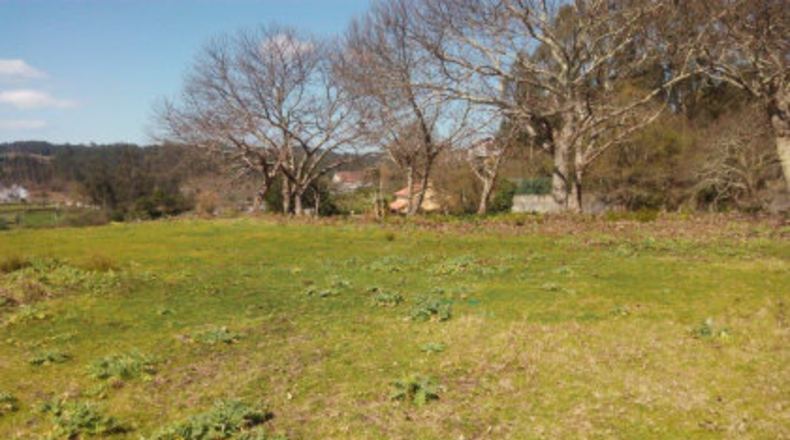 Pontevedra - A Igrexa - 4000m2