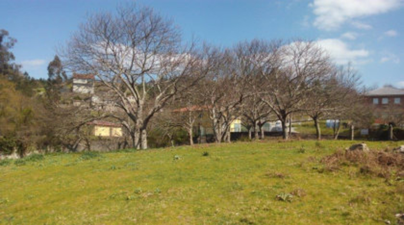 Pontevedra - A Igrexa - 4000m2