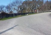 Non-developable land for sale in Pontevedra ref: TR15691 photo