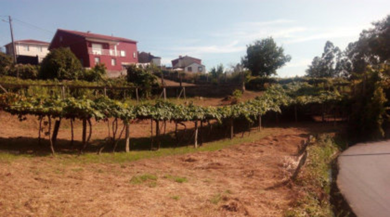 Pontevedra - Mourente - 850m2