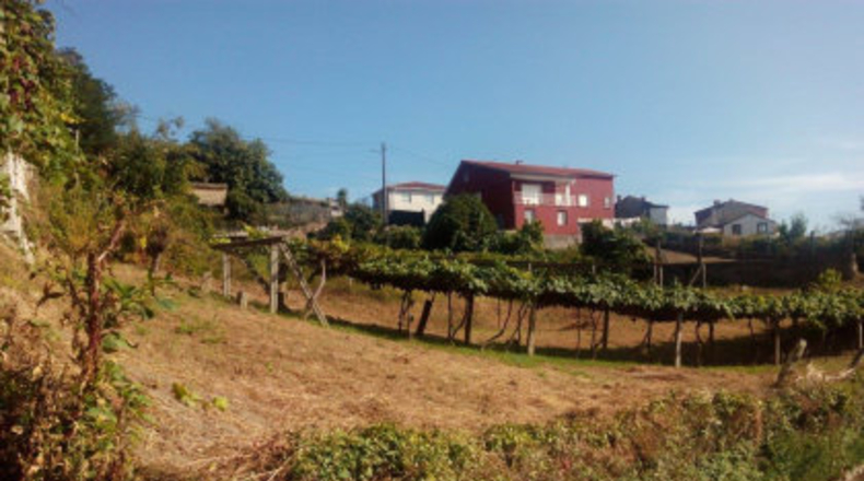 Pontevedra - Mourente - 850m2