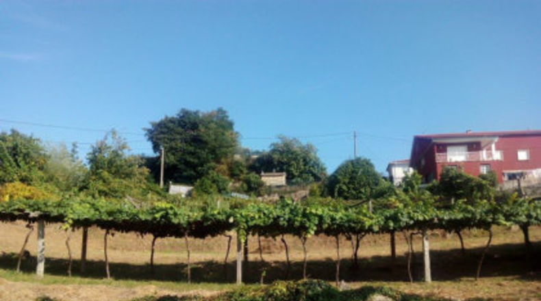 Pontevedra - Mourente - 850m2