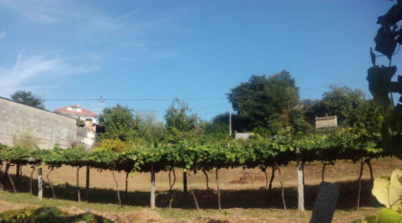 Pontevedra - Mourente - 850m2