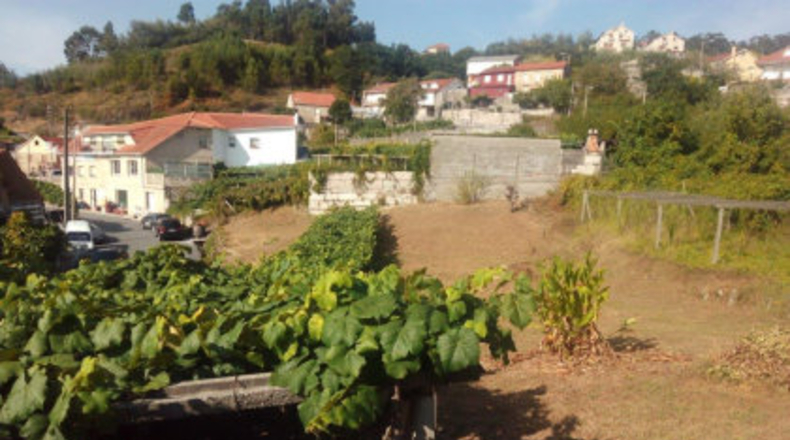 Pontevedra - Mourente - 850m2