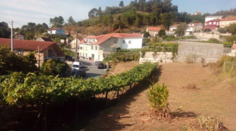 Pontevedra - Mourente - 850m2
