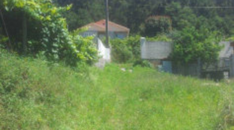 Pontevedra - Mourente - 1268m2
