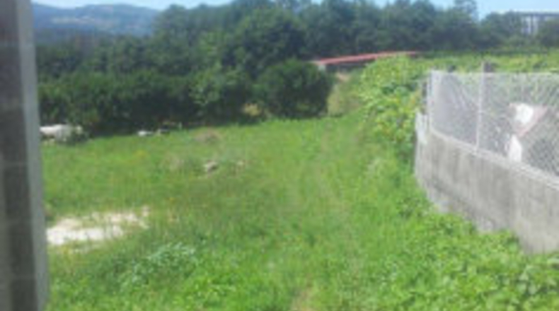Pontevedra - Mourente - 1268m2
