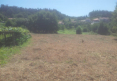 Terreno no urbanizable en venta en Pontevedra ref: TR15698 foto