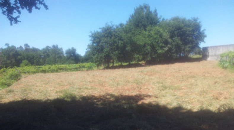 Pontevedra - Mourente - 1268m2