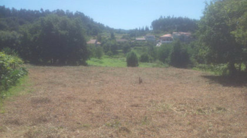 Pontevedra - Mourente - 1268m2