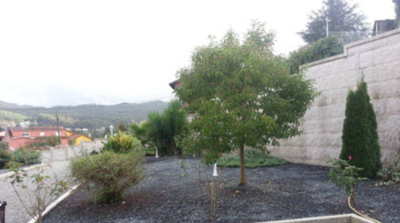 Pontevedra - Faxil - 4600m2