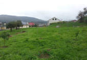 Finca rústica en venda a Barro ref.: TR18768 foto