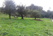 Finca rústica en venda a Barro ref.: TR18768 foto