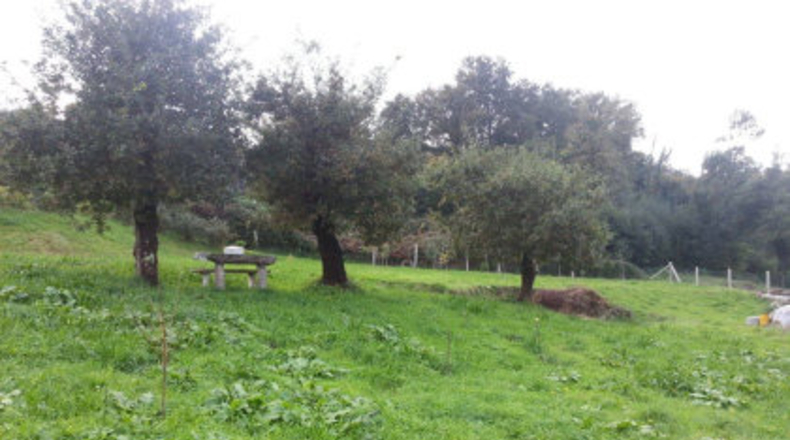 Pontevedra - Faxil - 4600m2