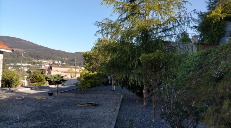 Pontevedra - Faxil - 4600m2