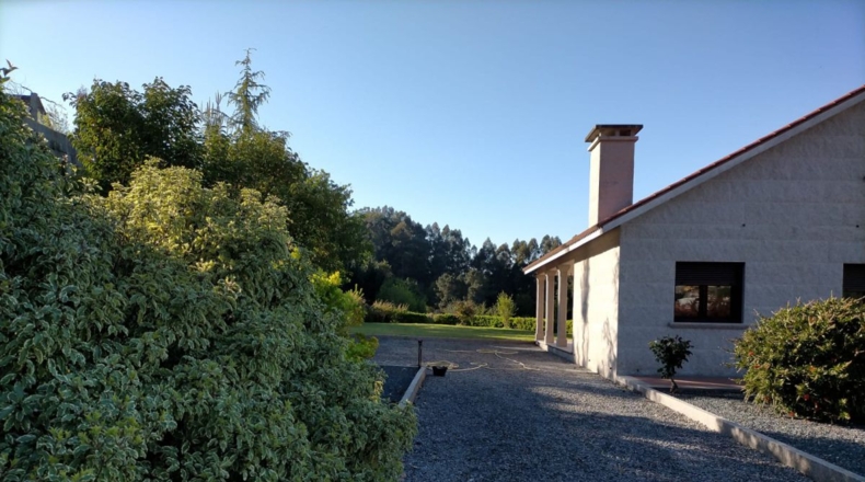 Pontevedra - Faxil - 4600m2