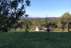 Foto 18