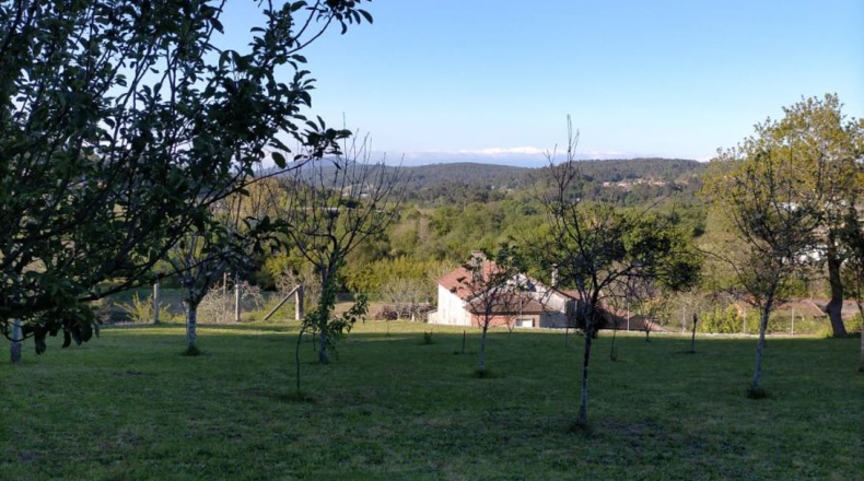 Pontevedra - Faxil - 4600m2