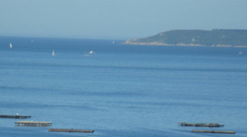 Pontevedra - Pontevedra - 1200m2