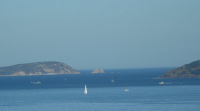 Pontevedra - Pontevedra - 1200m2