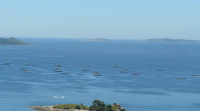 Pontevedra - Pontevedra - 1200m2