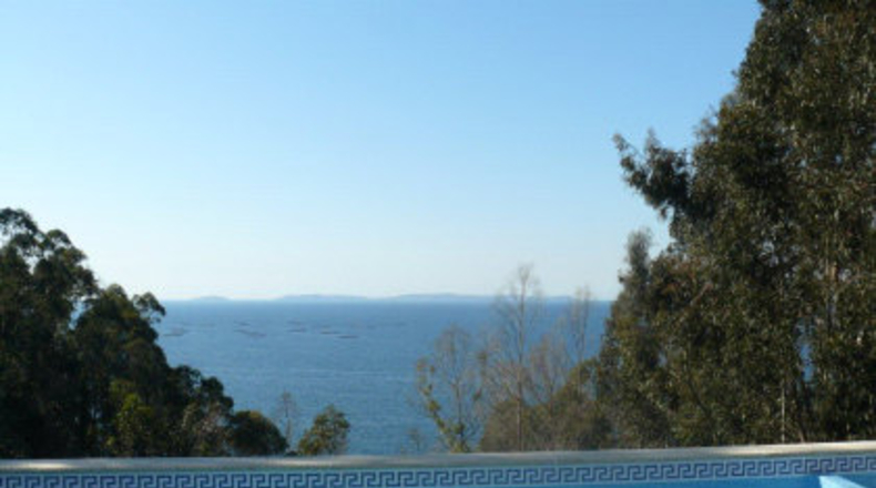 Pontevedra - Pontevedra - 1200m2