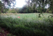 Non-developable land for sale in Pontevedra ref: TR15701 photo