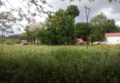 Non-developable land for sale in Pontevedra ref: TR15701 photo