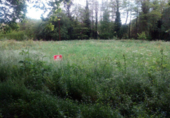 Non-developable land for sale in Pontevedra ref: TR15701 photo