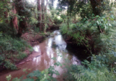 Non-developable land for sale in Pontevedra ref: TR15701 photo
