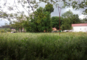 Non-developable land for sale in Pontevedra ref: TR15701 photo