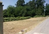 Non-developable land for sale in Pontevedra ref: TR15705 photo
