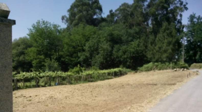 Pontevedra - Pontevedra - 1150m2