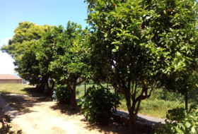 Santiago de Covelo 3800&nbsp;м²