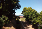 Finca rústica en venda a Santiago de Covelo ref.: TR18761 foto